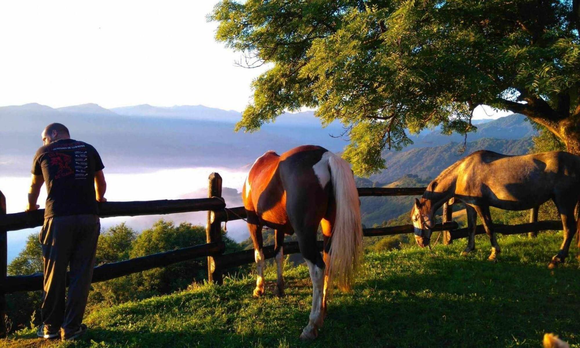 Apartamentos Turisticos El Balcon De Llavandes Colombres Dış mekan fotoğraf